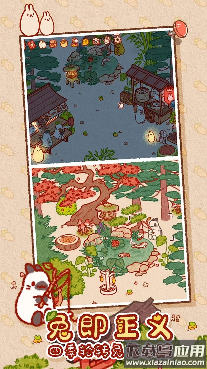 兔兔岛官方下载最新版截图3