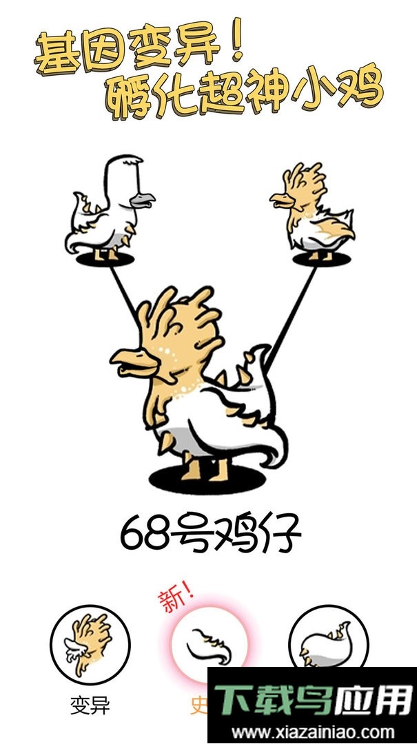 小鸡真奇怪官方版截图1