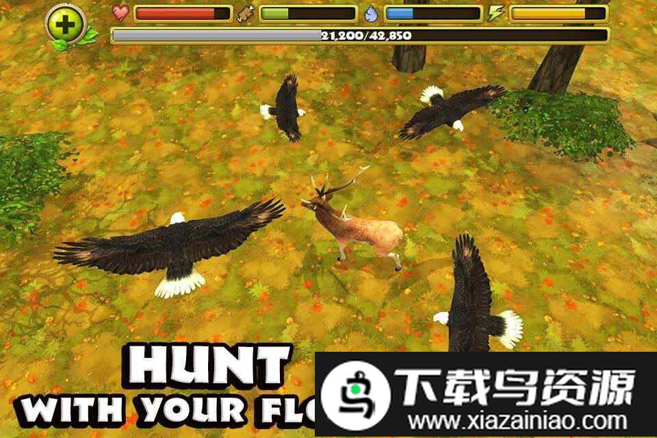 老鹰模拟飞行游戏截图1