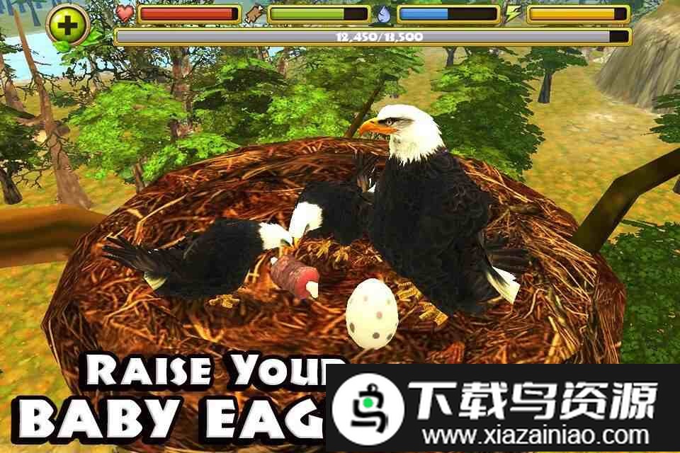 老鹰模拟飞行游戏截图2