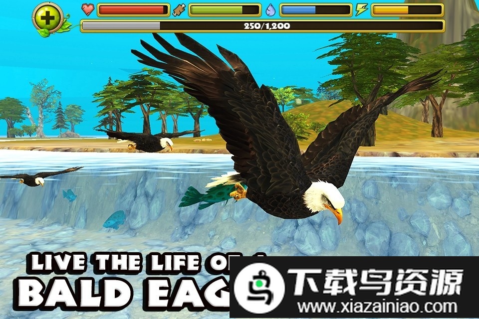 老鹰模拟飞行游戏截图3