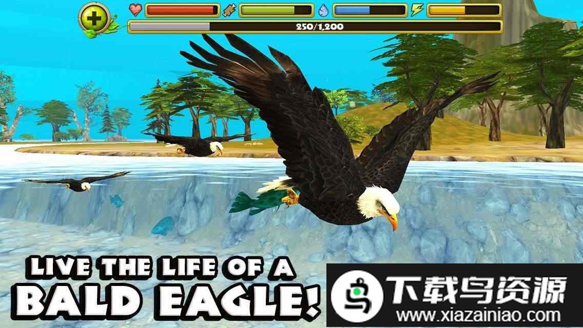 老鹰模拟飞行游戏截图5