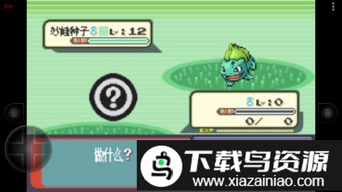 口袋妖怪天龙的堕落汉化版最新版截图1