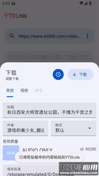 ytdlnis官方版截图3