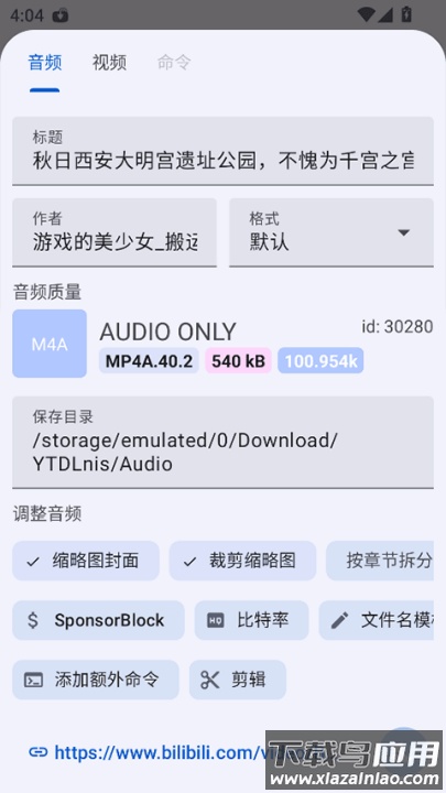 ytdlnis官方版截图4