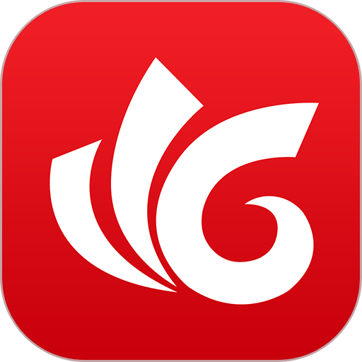 掌握保定手机版