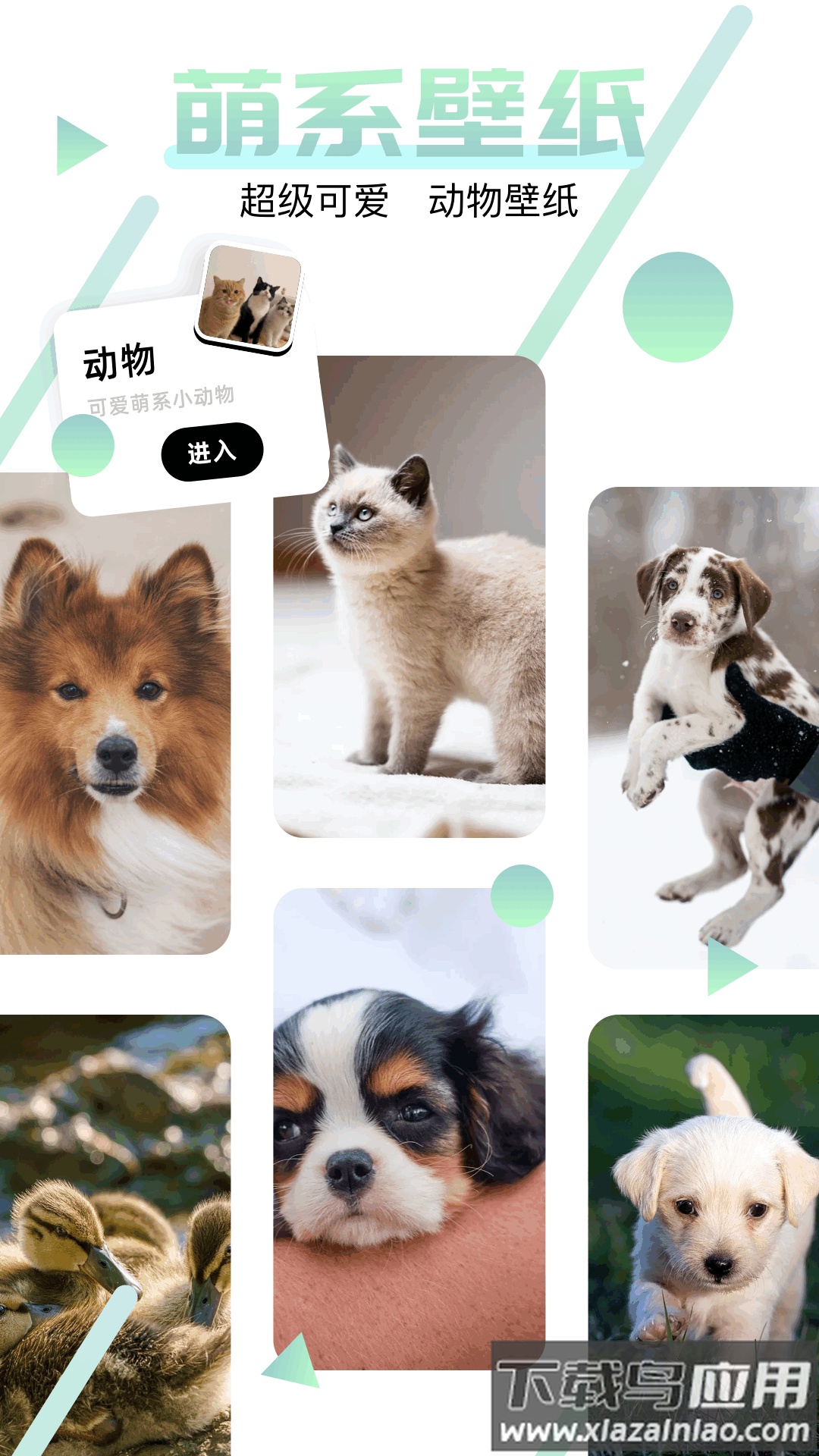 神图订制app(神图app)截图3