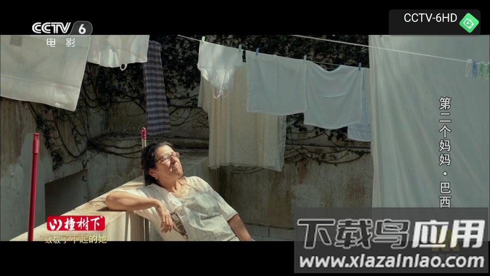 昭昭TV电视软件截图2