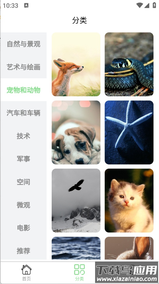 每日淘壁纸app截图1