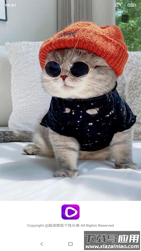 动态壁纸秀场app截图5