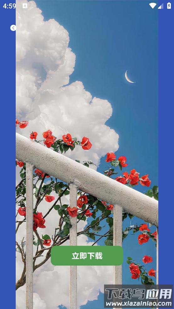 星空壁纸官方版截图4