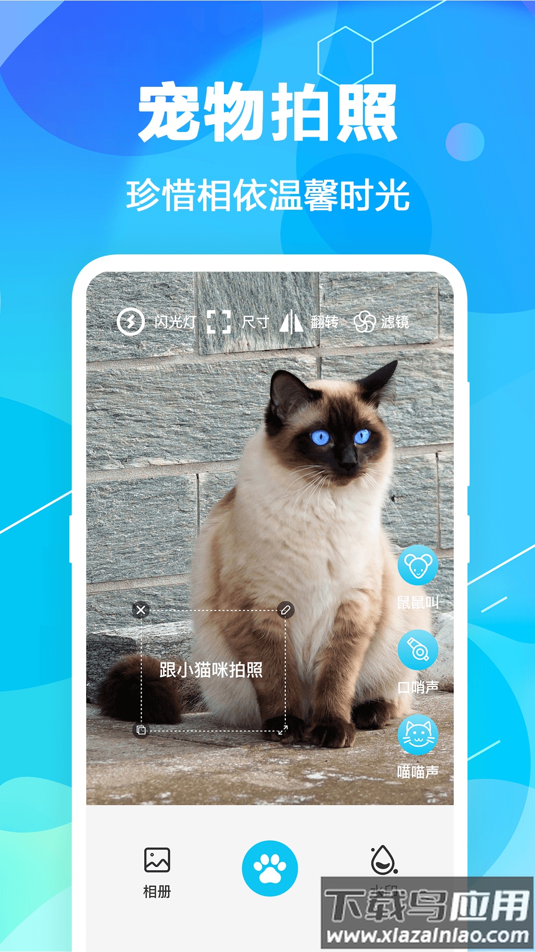 猫语翻译pet安卓版截图3