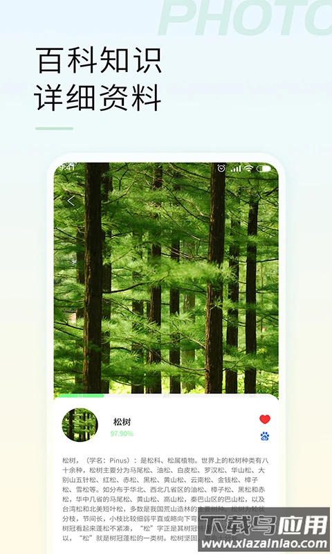 智能拍照识物app软件截图4