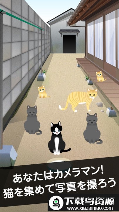 可爱猫咪满满游戏最新版截图1