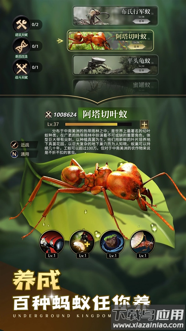 小小蚁国应用宝截图5