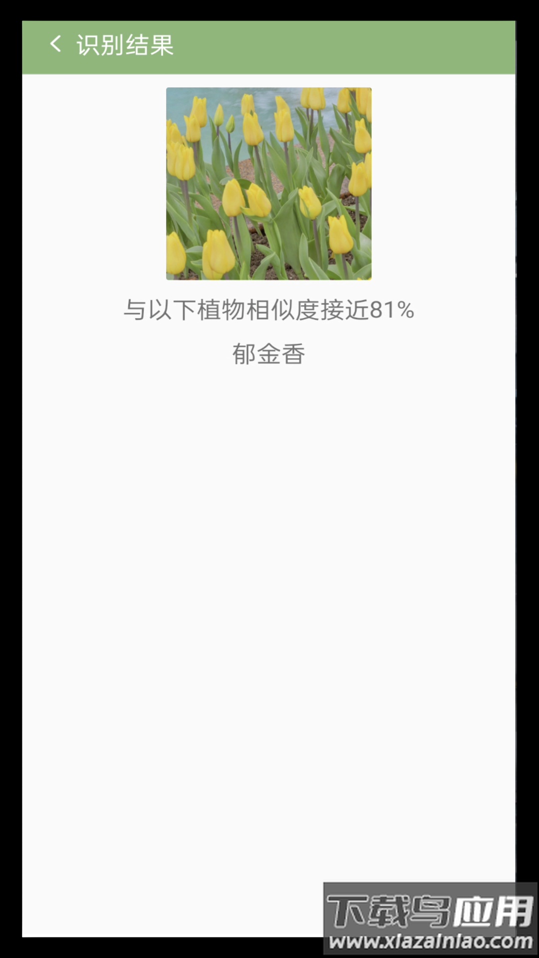 拍图识花app截图3