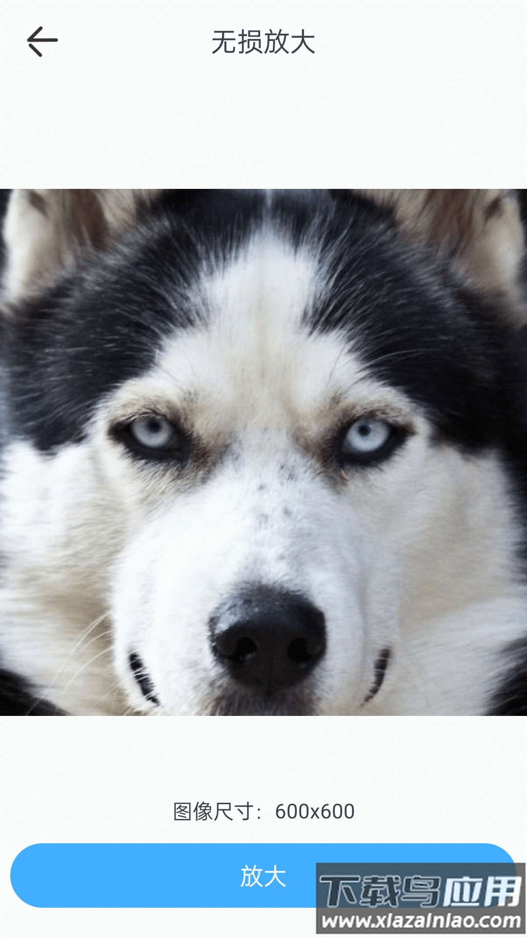 百变特效相机手机版截图2