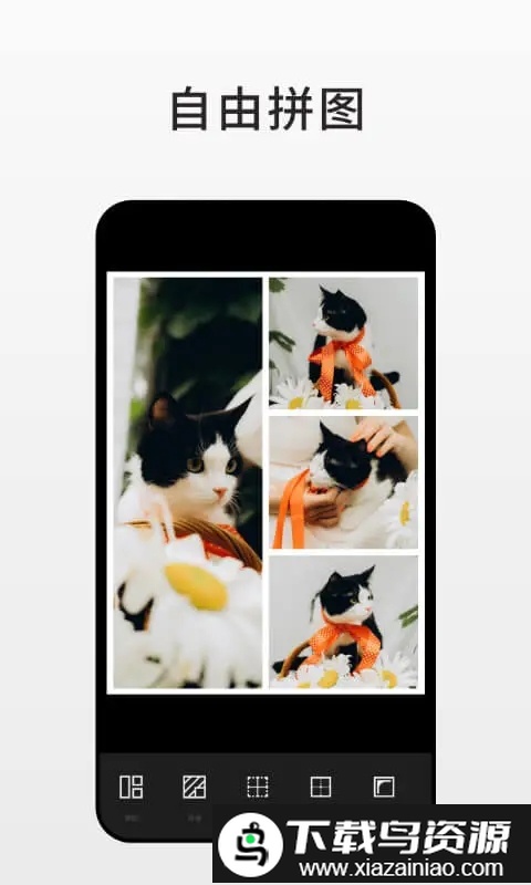 fotor pro app最新版截图3