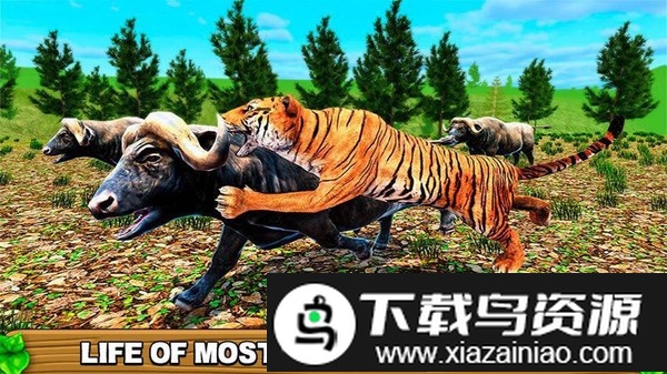 亚洲虎模拟器游戏最新版截图1