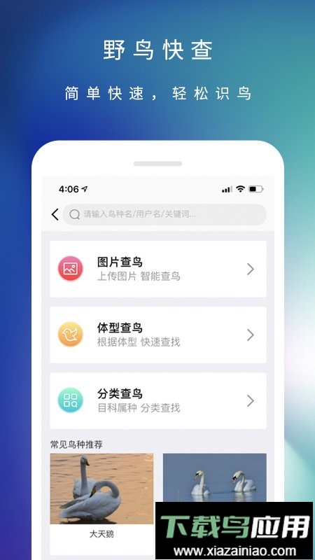 爱鸟国际网最新版截图1