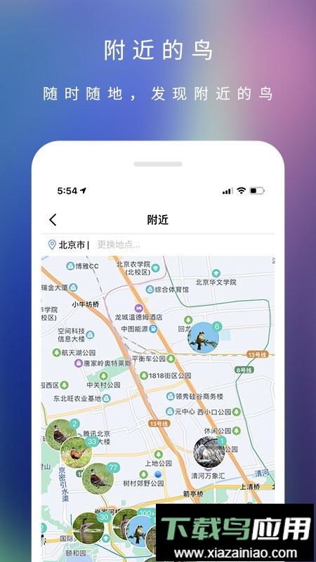 爱鸟国际网最新版截图2