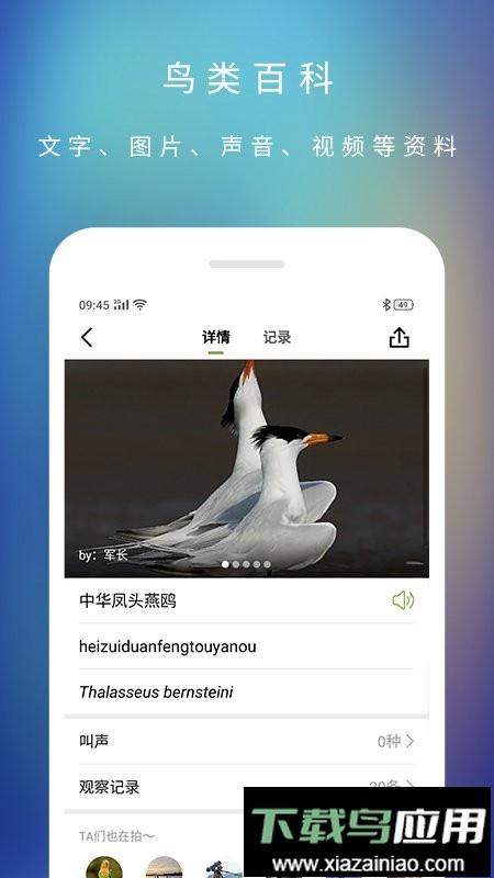 爱鸟国际网最新版截图3