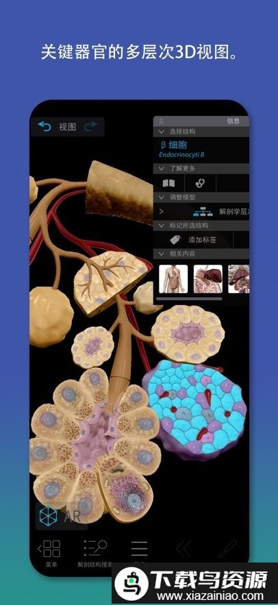 Atlas人体解剖学图谱2026截图1