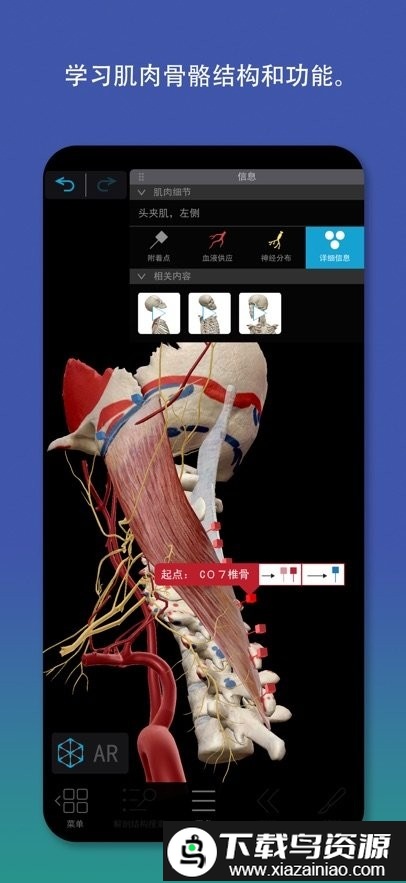 Atlas人体解剖学图谱2026截图2