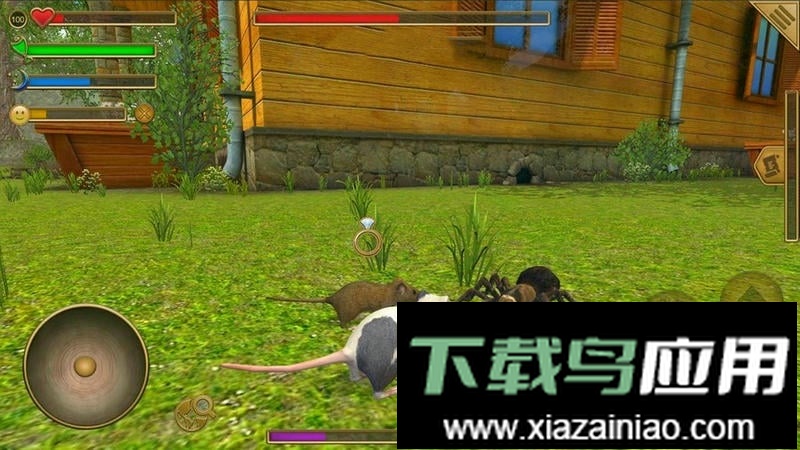 老鼠生存模拟器游戏截图