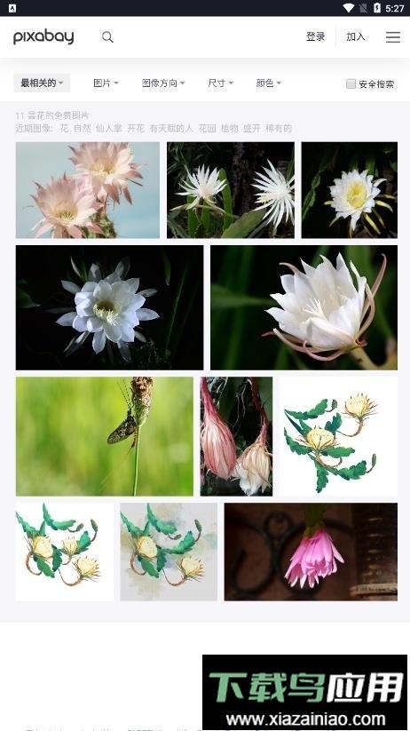 pixabay手机版最新版截图1