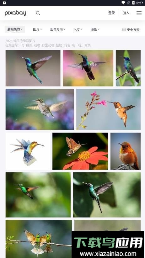 pixabay手机版最新版截图2