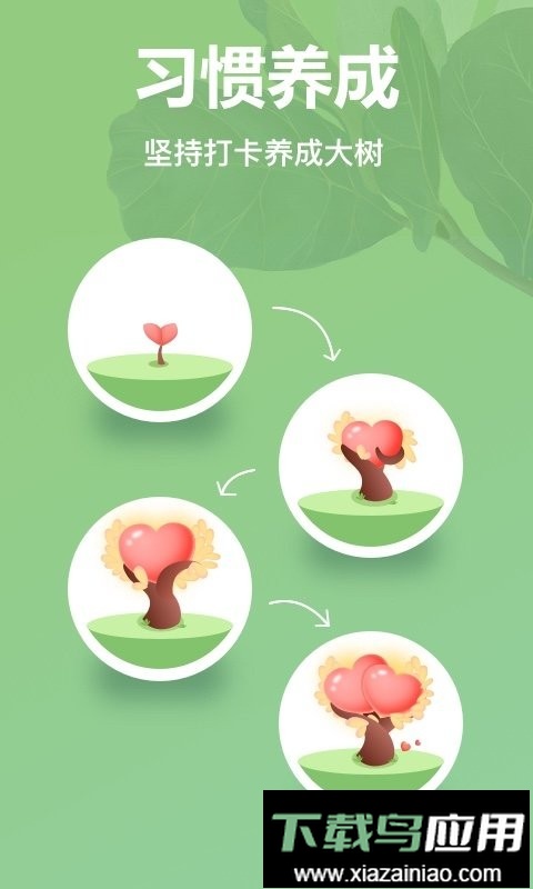 打卡森林官方版截图3