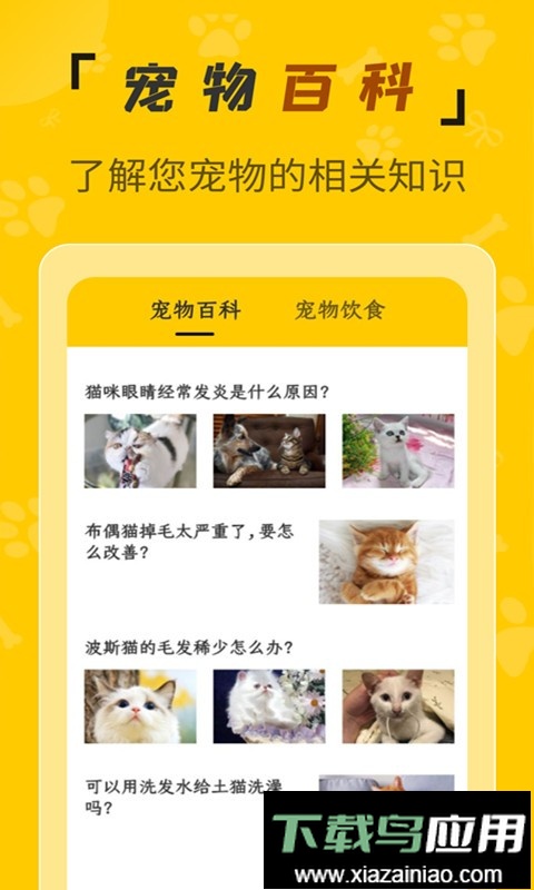 人猫翻译机免费版截图3