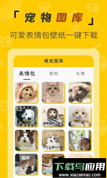 人猫翻译机免费版截图4