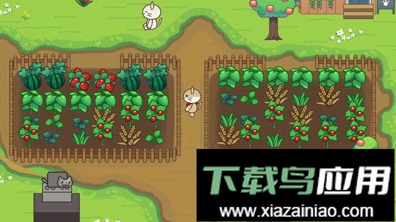 猫咪露营地正版最新版截图3