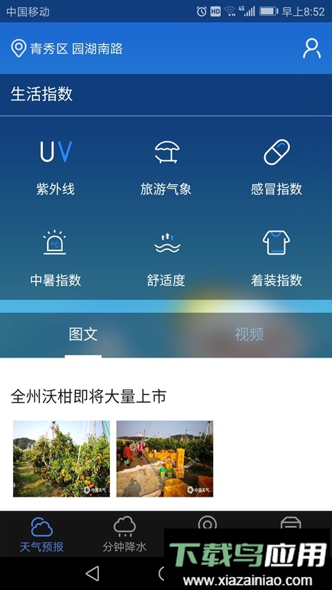 晓天气最新版截图3