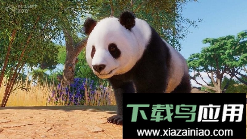 宠物成精啦最新版最新版截图2