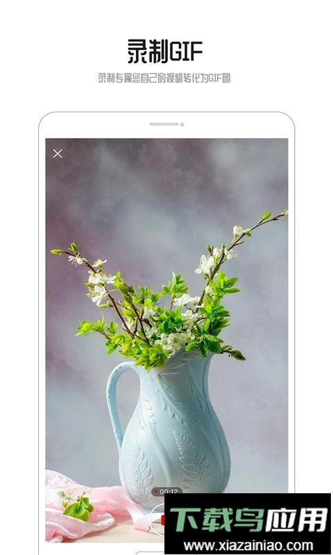 GIF动图app最新版截图2