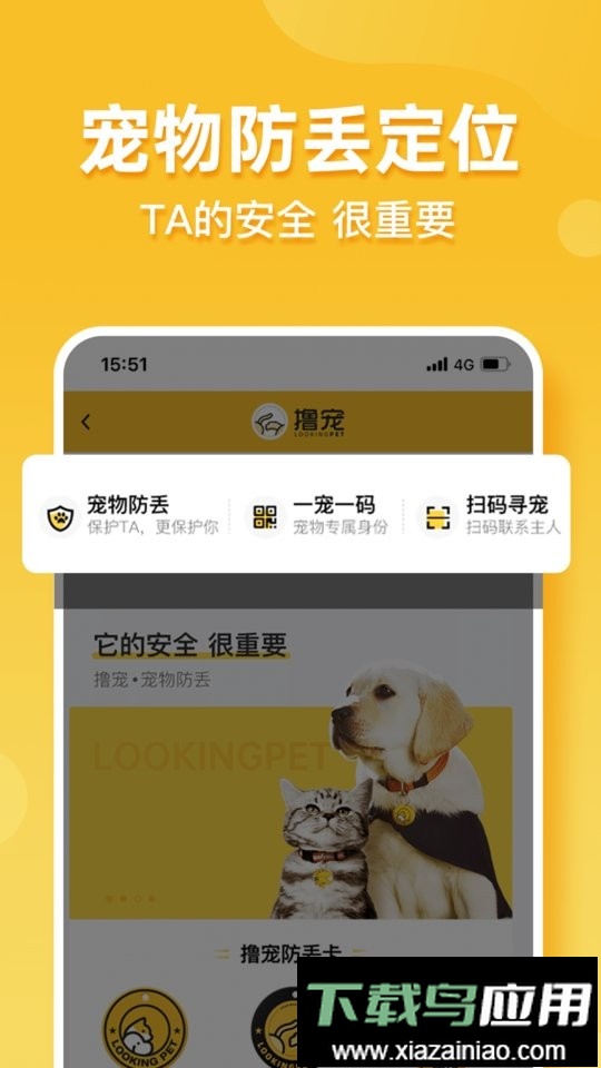 撸宠最新版截图1