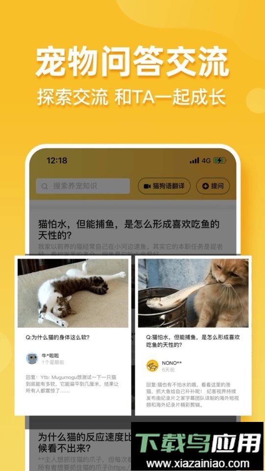 撸宠最新版截图3