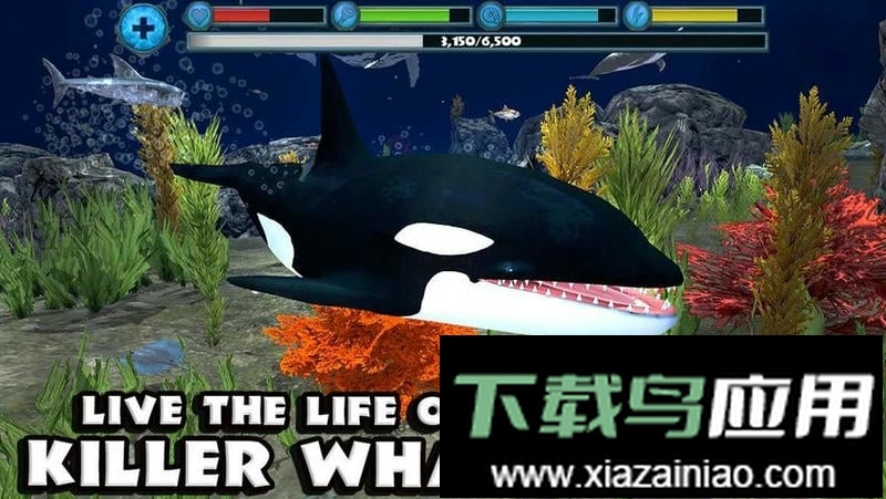 虎鲸模拟器无限经验版(OrcaSim)最新版截图3