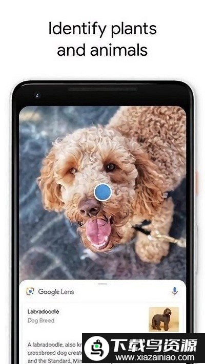 Google Lens 最新版截图2