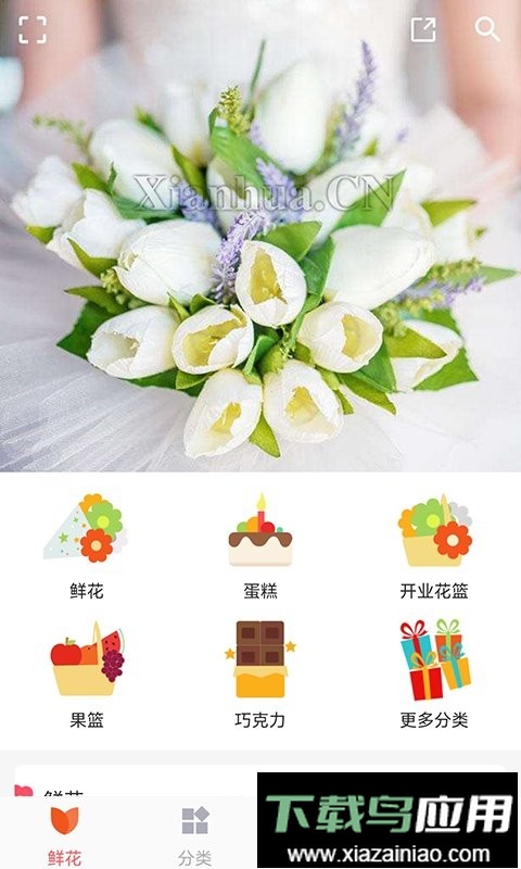 中国鲜花网订购平台截图3