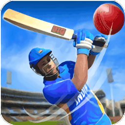板球大师游戏