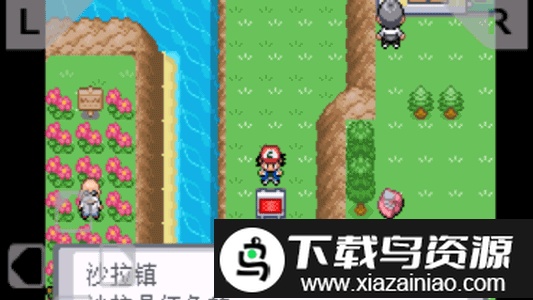 口袋妖怪暗之冰花手机版最新版截图1