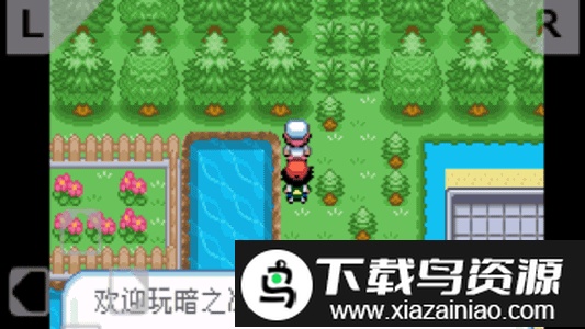 口袋妖怪暗之冰花手机版最新版截图3