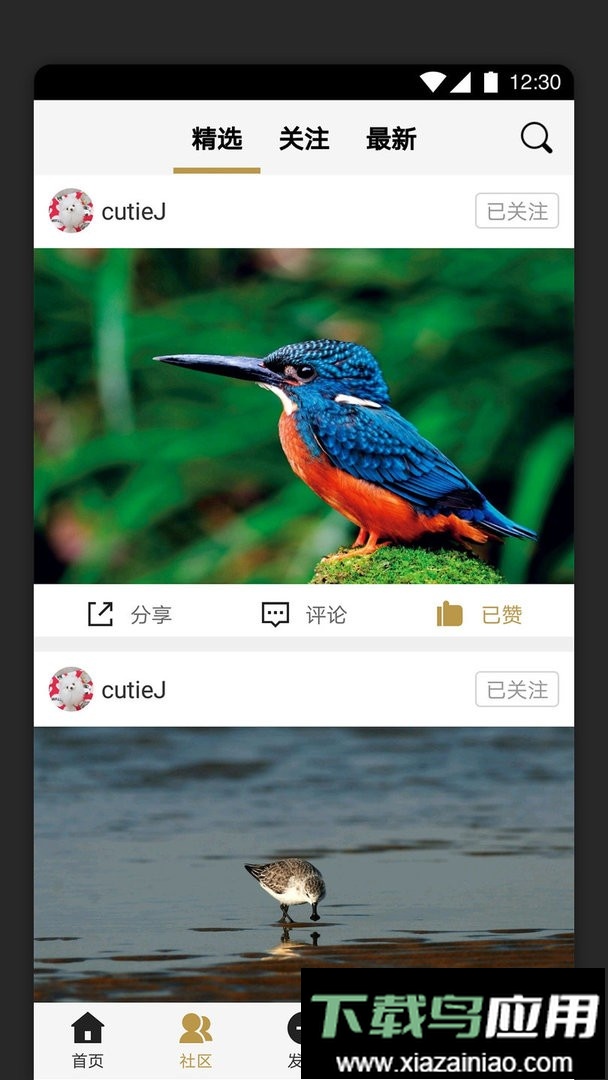 识鸟家官方版截图1