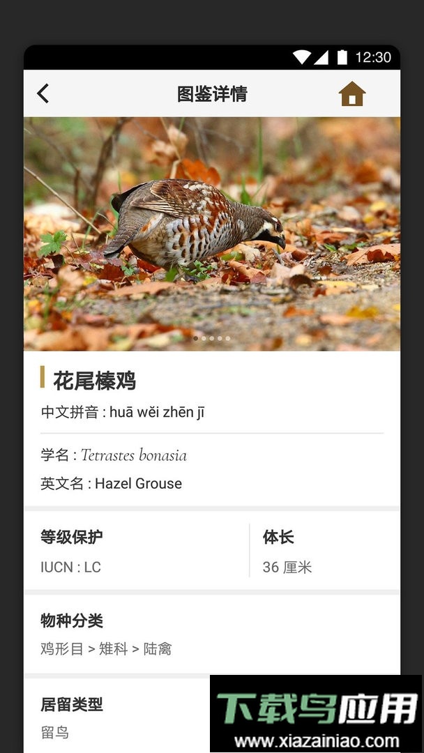 识鸟家官方版截图3