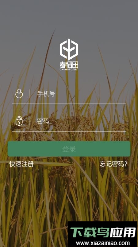 春稻田最新版最新版截图3