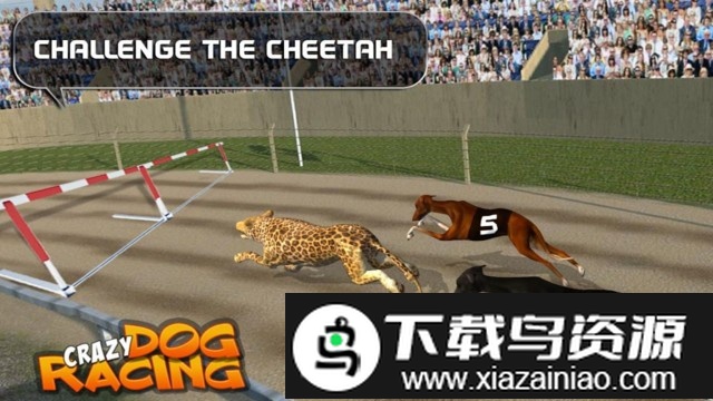疯狂的狗比赛中文版截图1